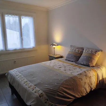 Lumineux Apartment Angers